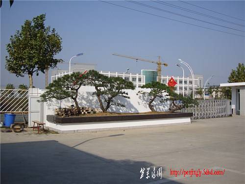 DSC01000_.jpg