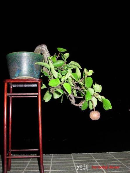DSCN0540.jpg