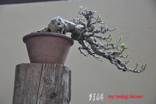 ap_F23_20100826042137785%5B1%5D.jpg