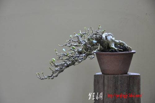 ap_F23_20100826042141623%5B1%5D.jpg