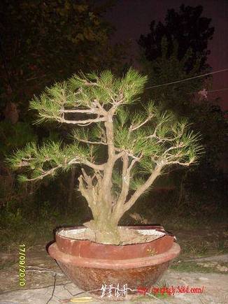 SDC10732.JPG