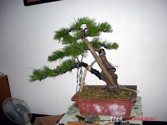 DSCN4017.JPG