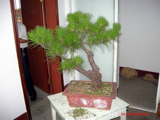 DSCN4013.JPG