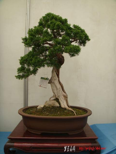 DSC01625.JPG