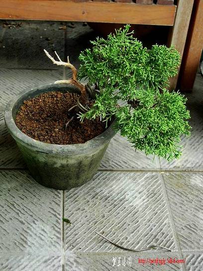 DSCN3520.JPG