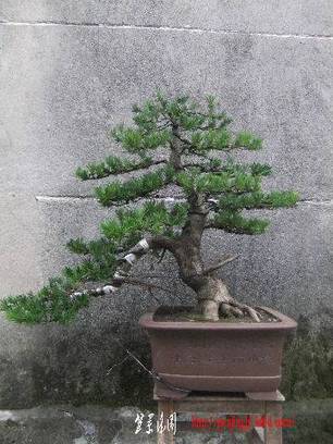 2010_09260004.JPG