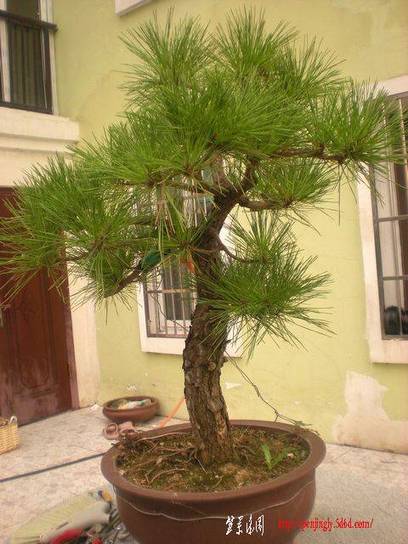 ɾӡز016-6-2_nEO_IMG.jpg