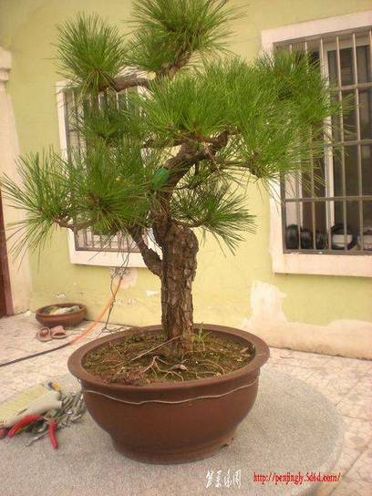 ɾӡز016-6-1_nEO_IMG.jpg