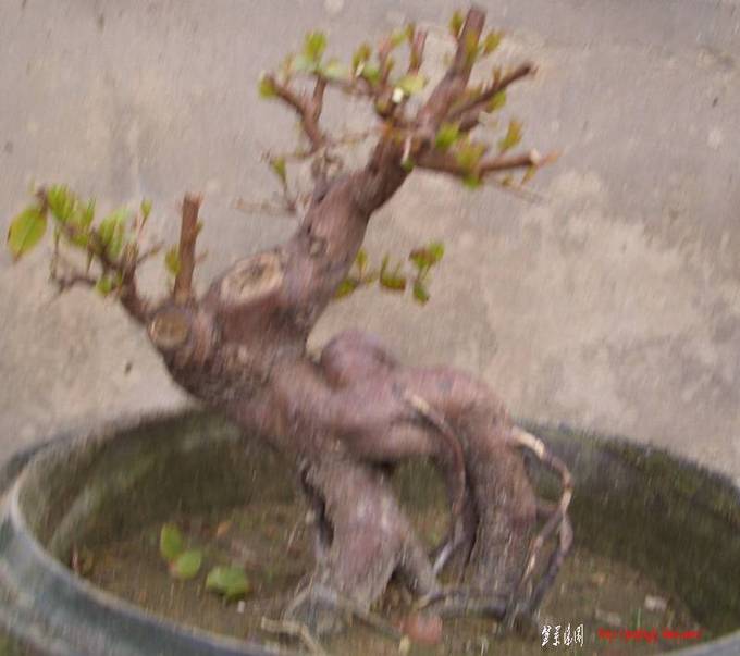 Сȸ3.JPG