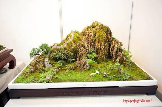 DSC_1923.jpg