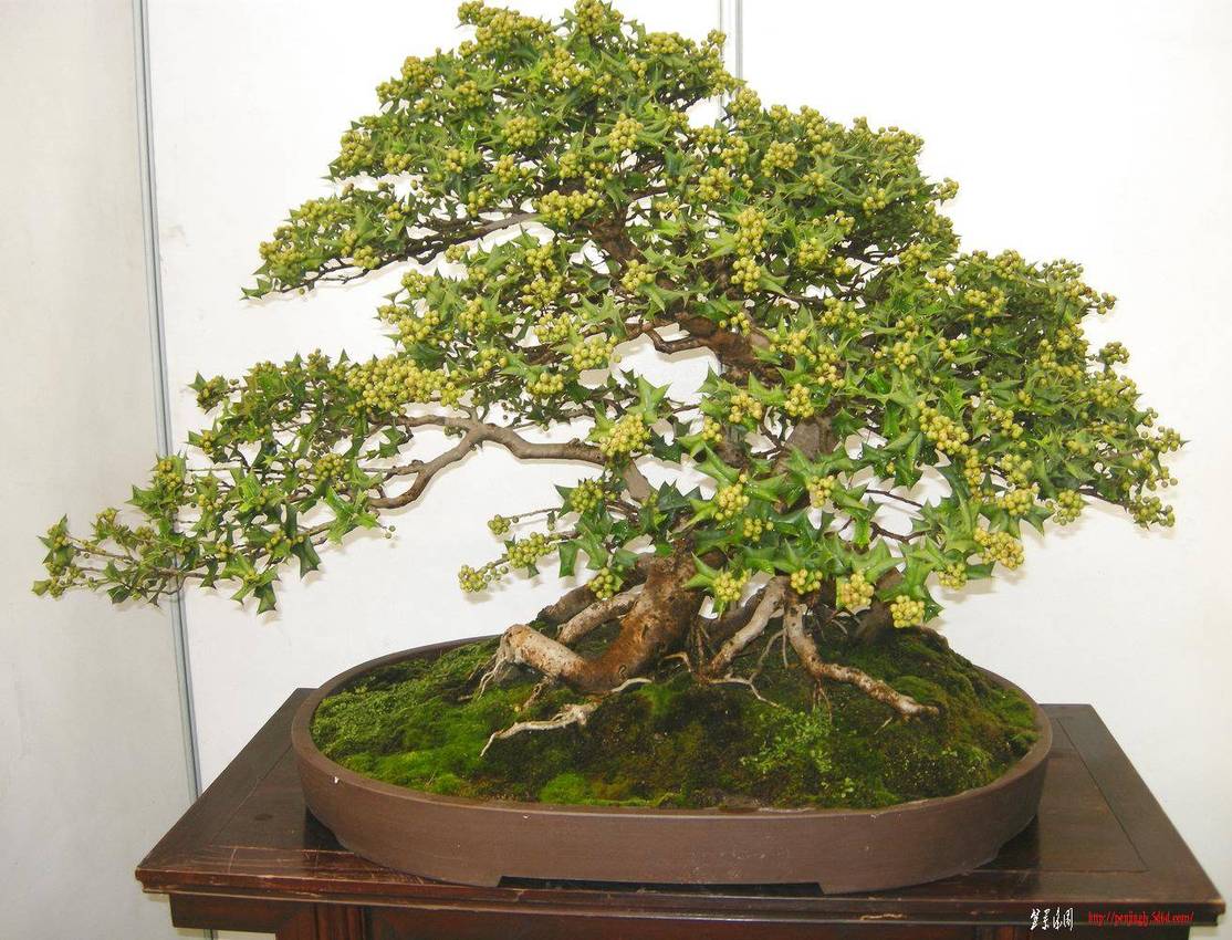 DSCN1549.JPG