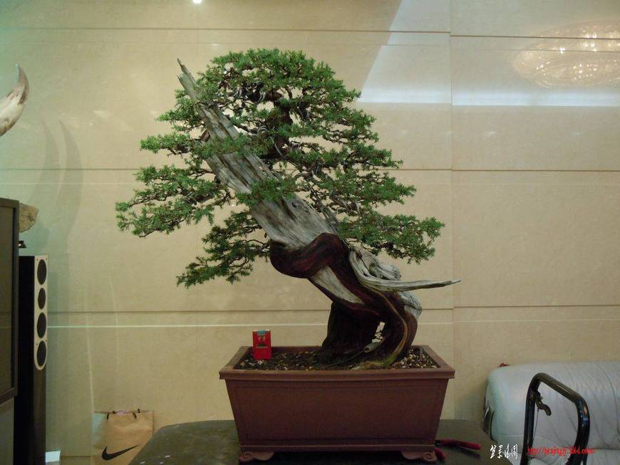 DSCN2499.JPG
