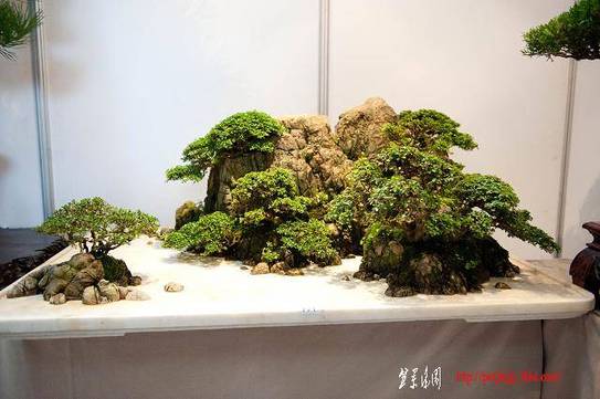 DSC_1949.jpg