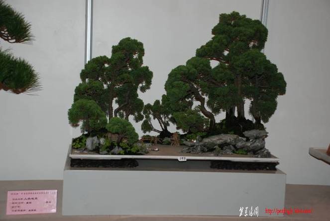 3753345_488995912[1].jpg