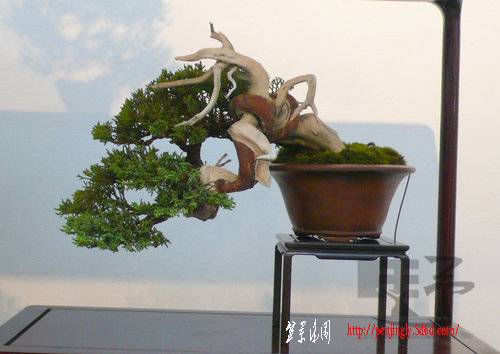 ap_F23_20090928103145894.jpg