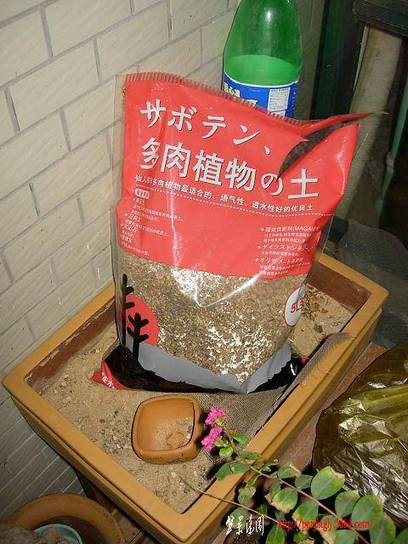 DSCN3575.JPG