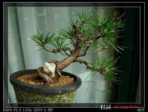 DSCN3540.JPG