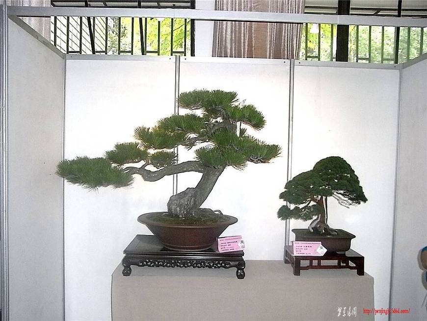 RIMG0471_.jpg