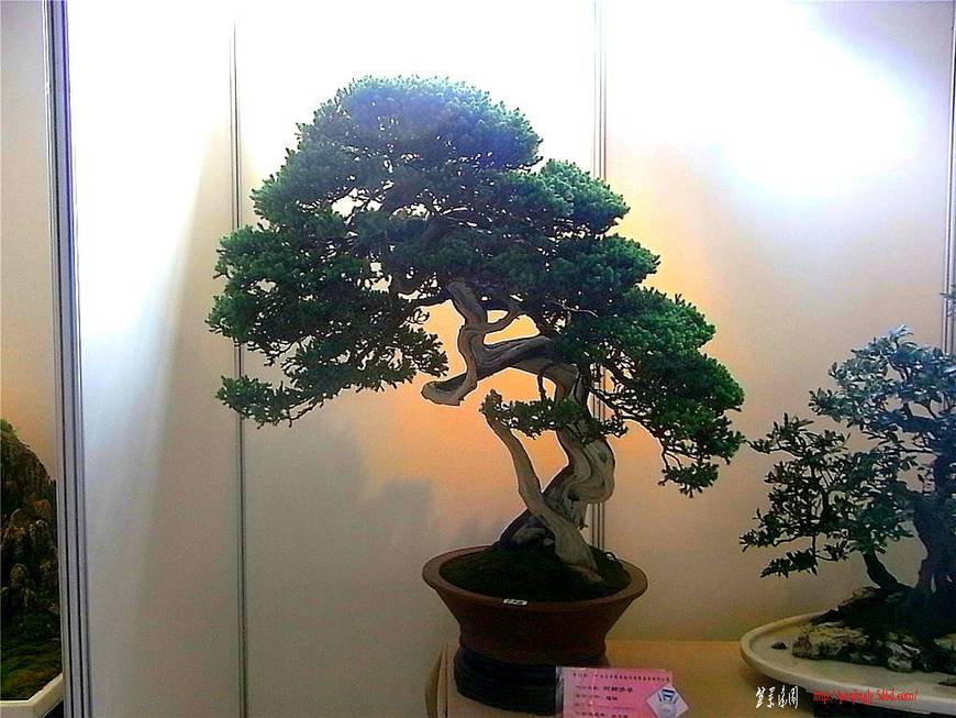 RIMG0554_.jpg