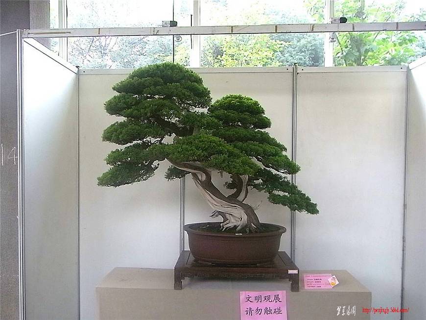 RIMG0585_.jpg