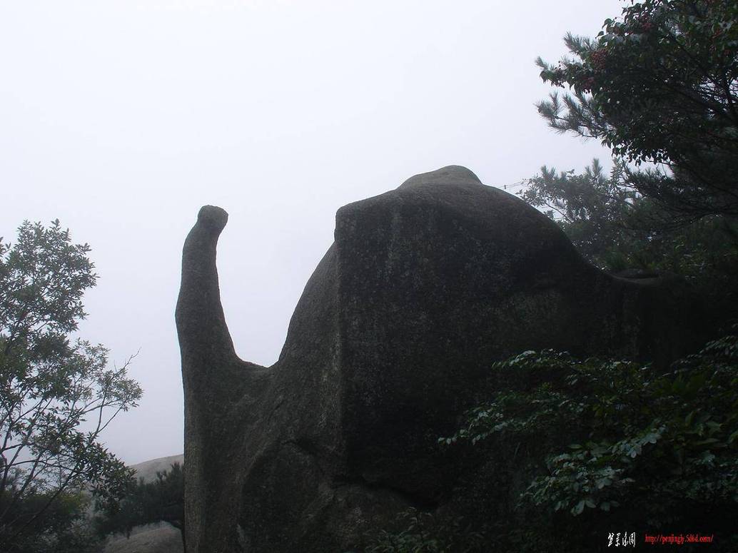 DSC04163.JPG