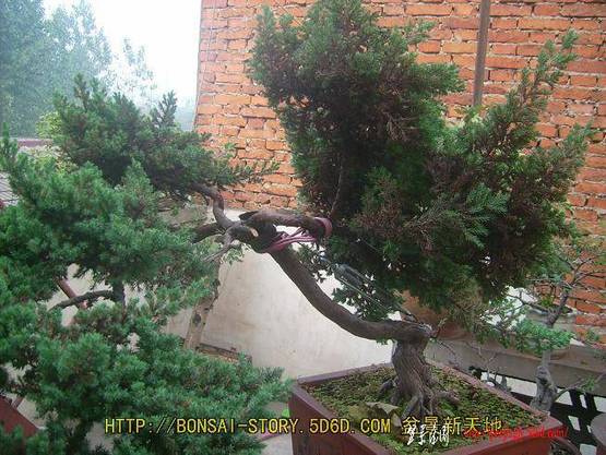 101009173911016347020d0cb4.jpg