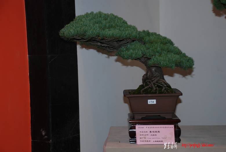 3753345_489005001[1].jpg