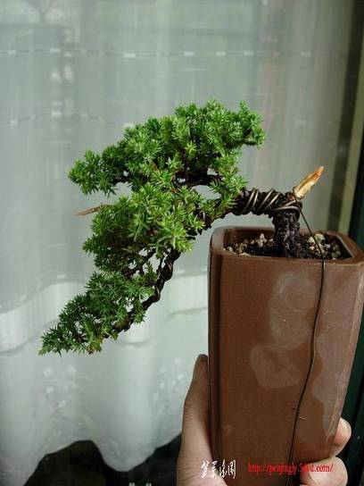 DSCN3625.JPG
