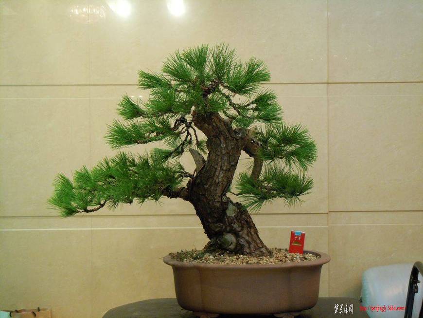 DSCN3171.JPG