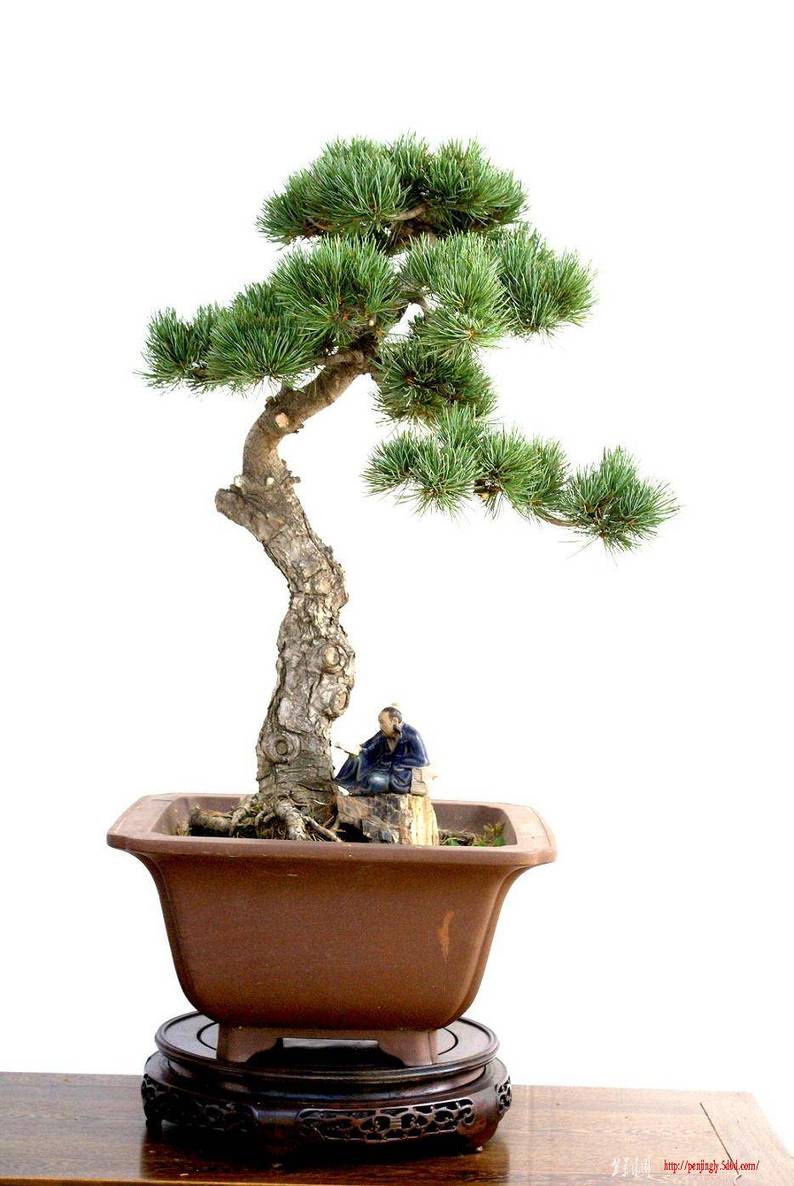 讲课照片2009-6-13 306.jpg