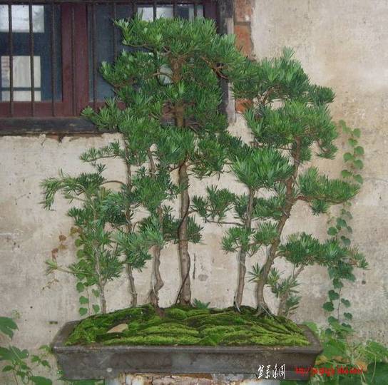 SNV34713.jpg