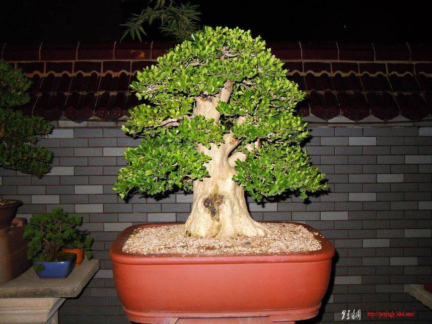 DSCN3206.JPG