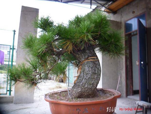 P1020113.JPG