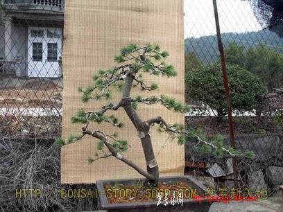 20090306_4685a3d4975eb3313a14Z969CkkM7e9d.jpg