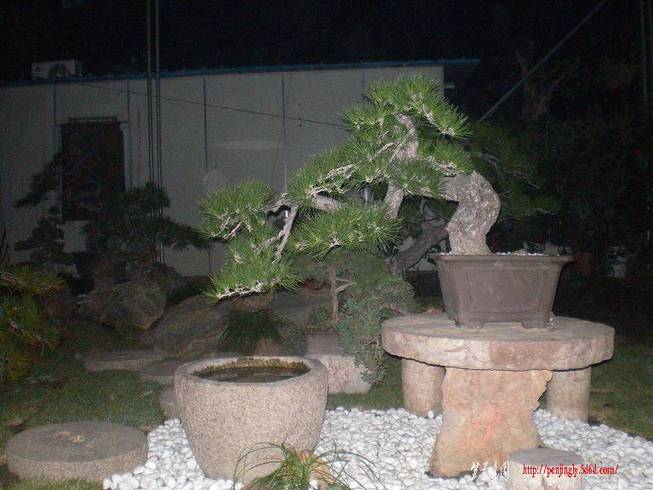 SANY0976.JPG