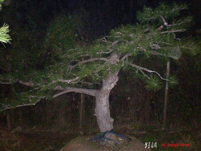 SANY1014.JPG
