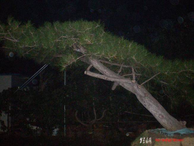 SANY0999.JPG