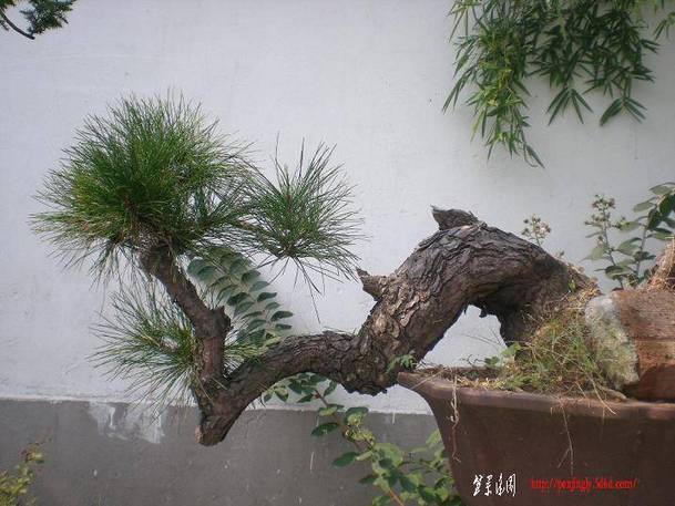 20101017Ƭ 006.jpg