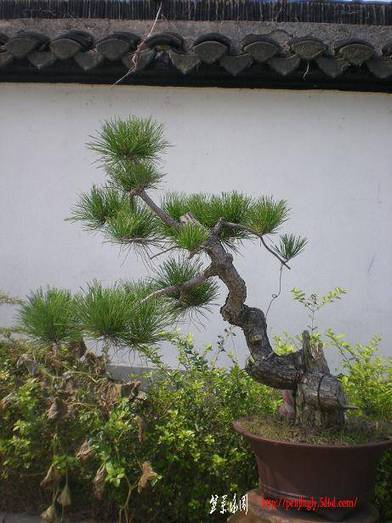 20101017Ƭ 022.jpg