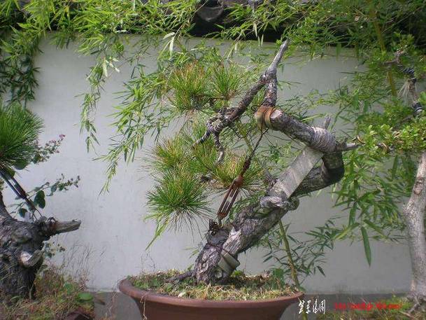 20101017Ƭ 007.jpg