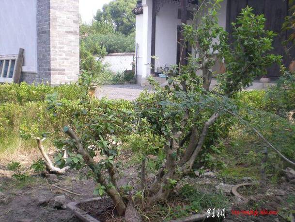 20101017Ƭ 029.jpg