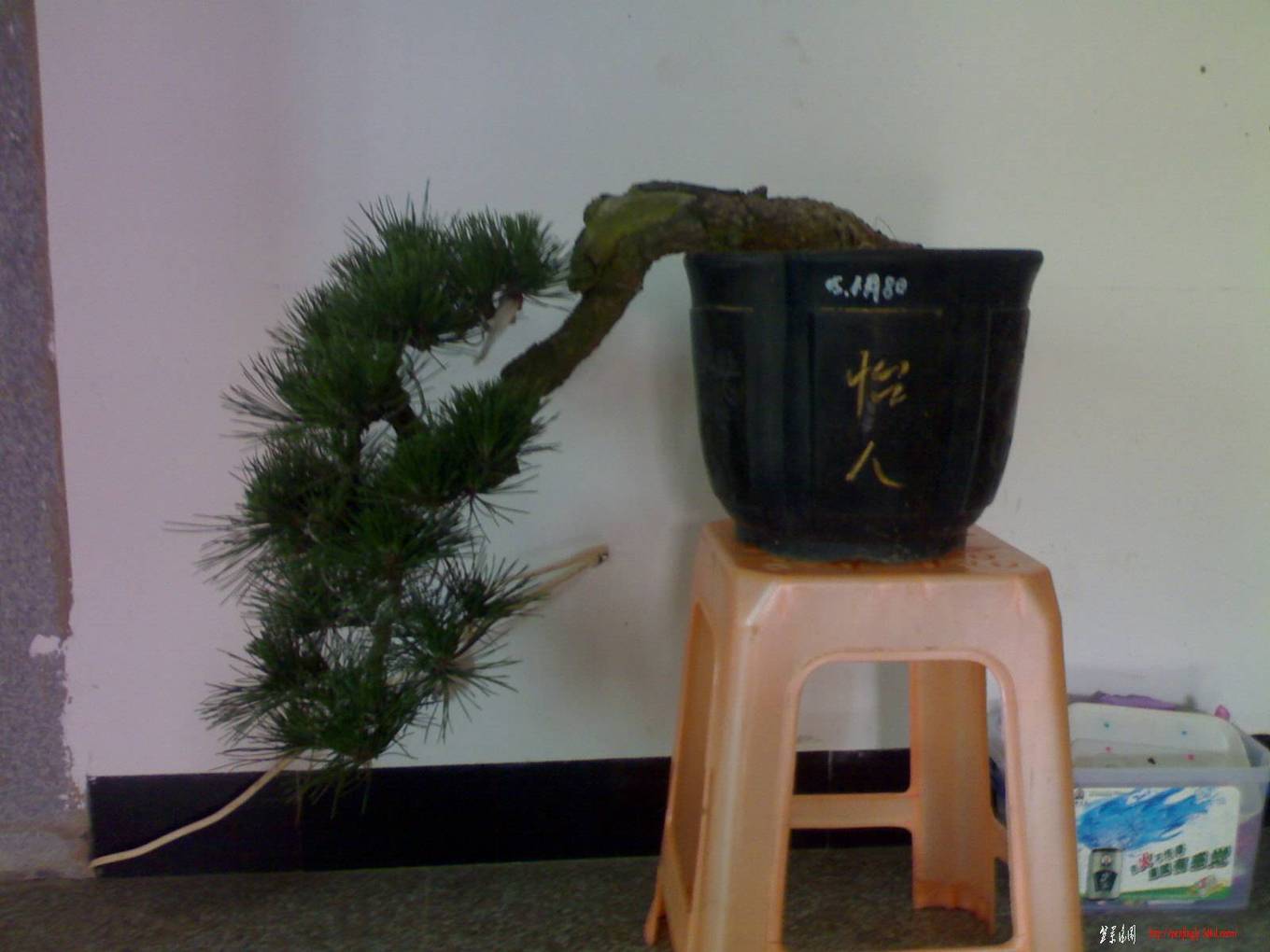 20100425485.jpg