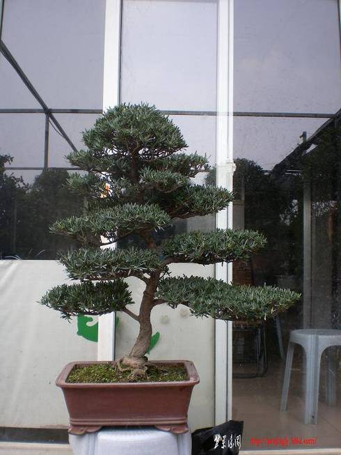 SANY1036.jpg