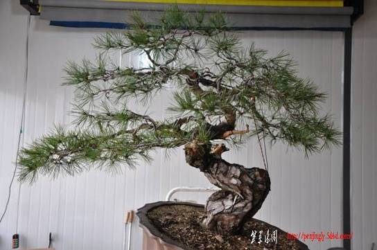 Ƭ 090.jpg