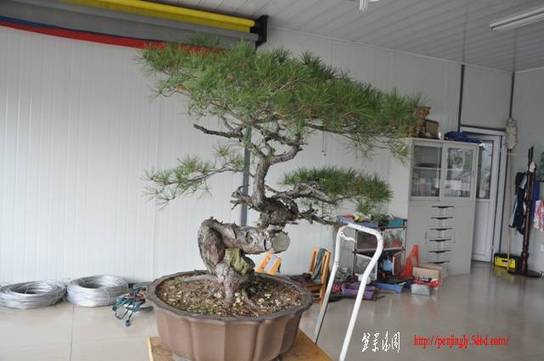 Ƭ 041.jpg