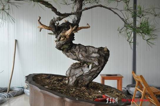 Ƭ 054.jpg