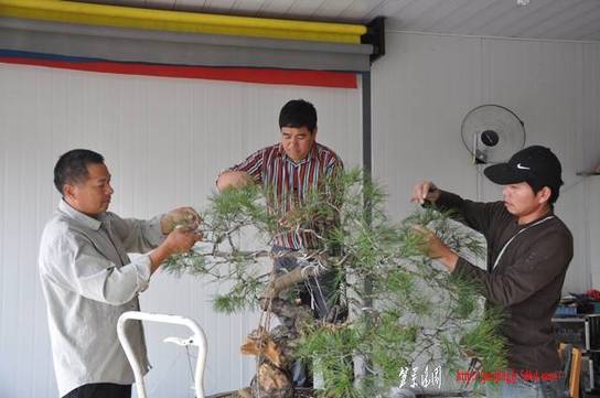Ƭ 068.jpg