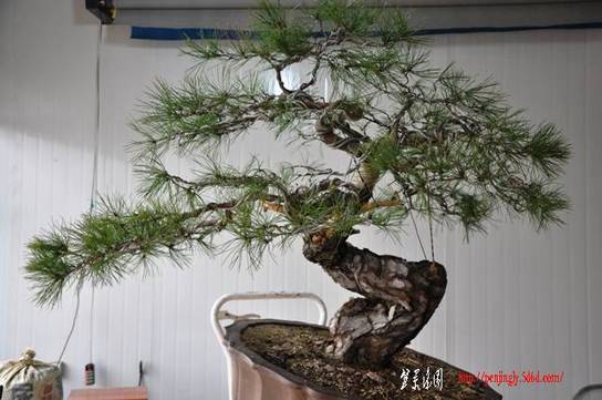 Ƭ 088.jpg