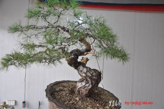 Ƭ 084.jpg