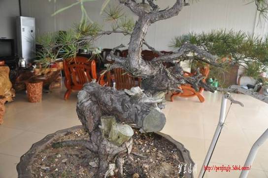 Ƭ 045.jpg